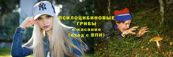 амф Алексин