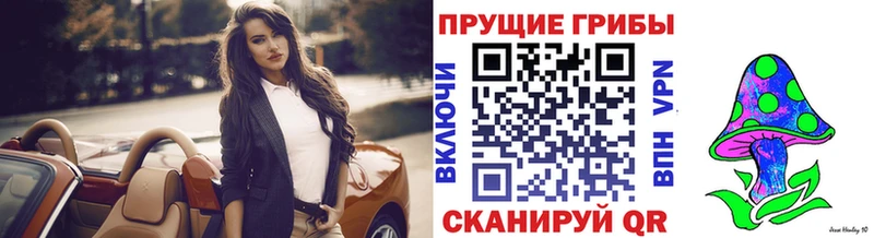 купить  цена  Грайворон  мориарти наркотические препараты  Псилоцибиновые грибы Magic Shrooms 